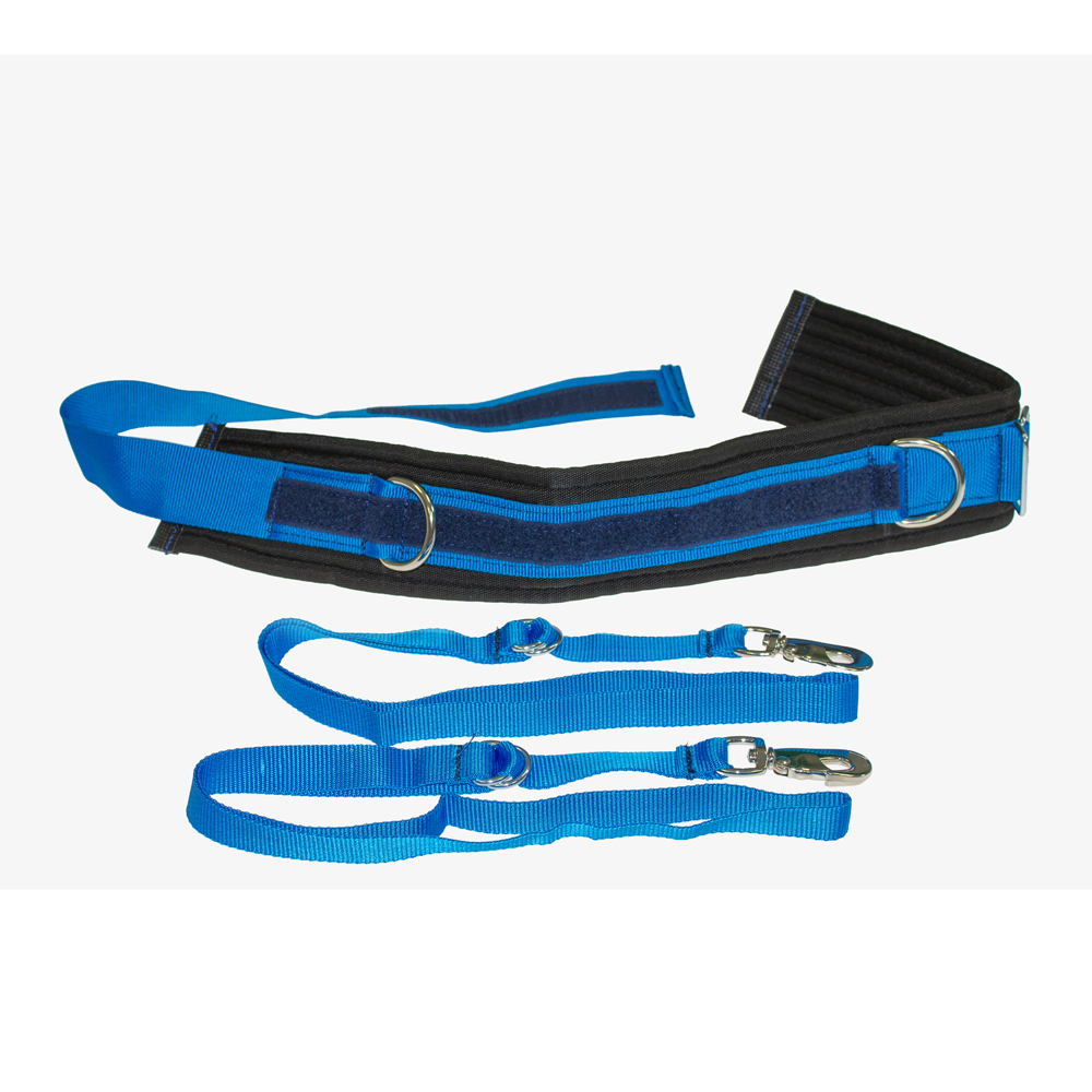 Saltogürtel - Standard - Bild 2 - Vergrößern