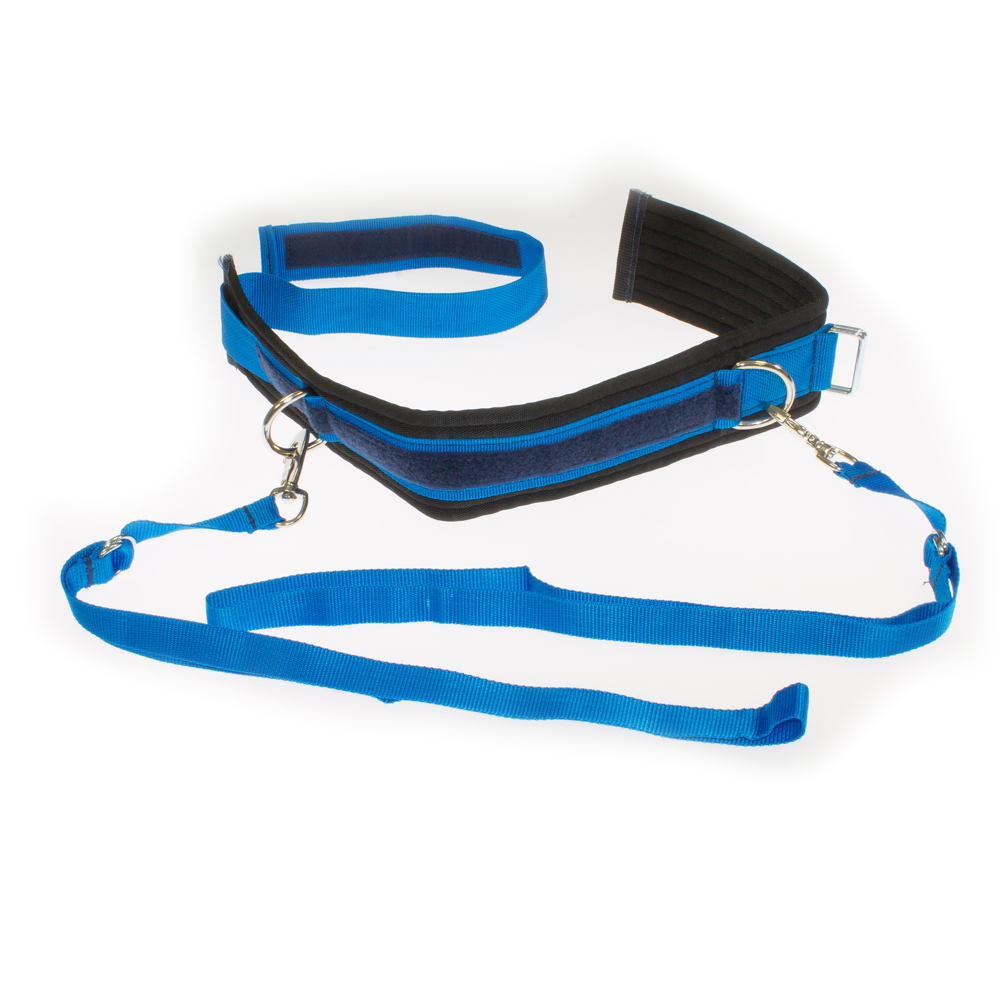 Saltogürtel - Standard - Bild 3 - Vergrößern