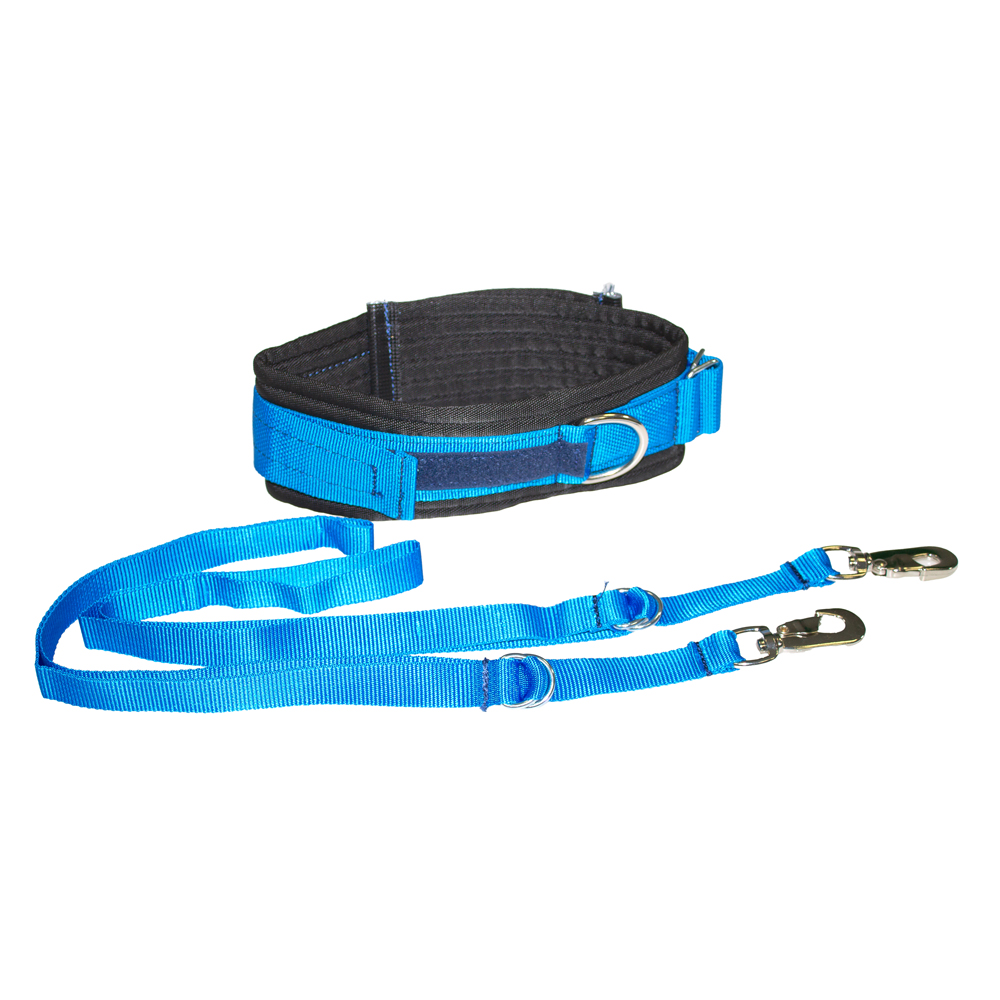 Saltogürtel - Standard