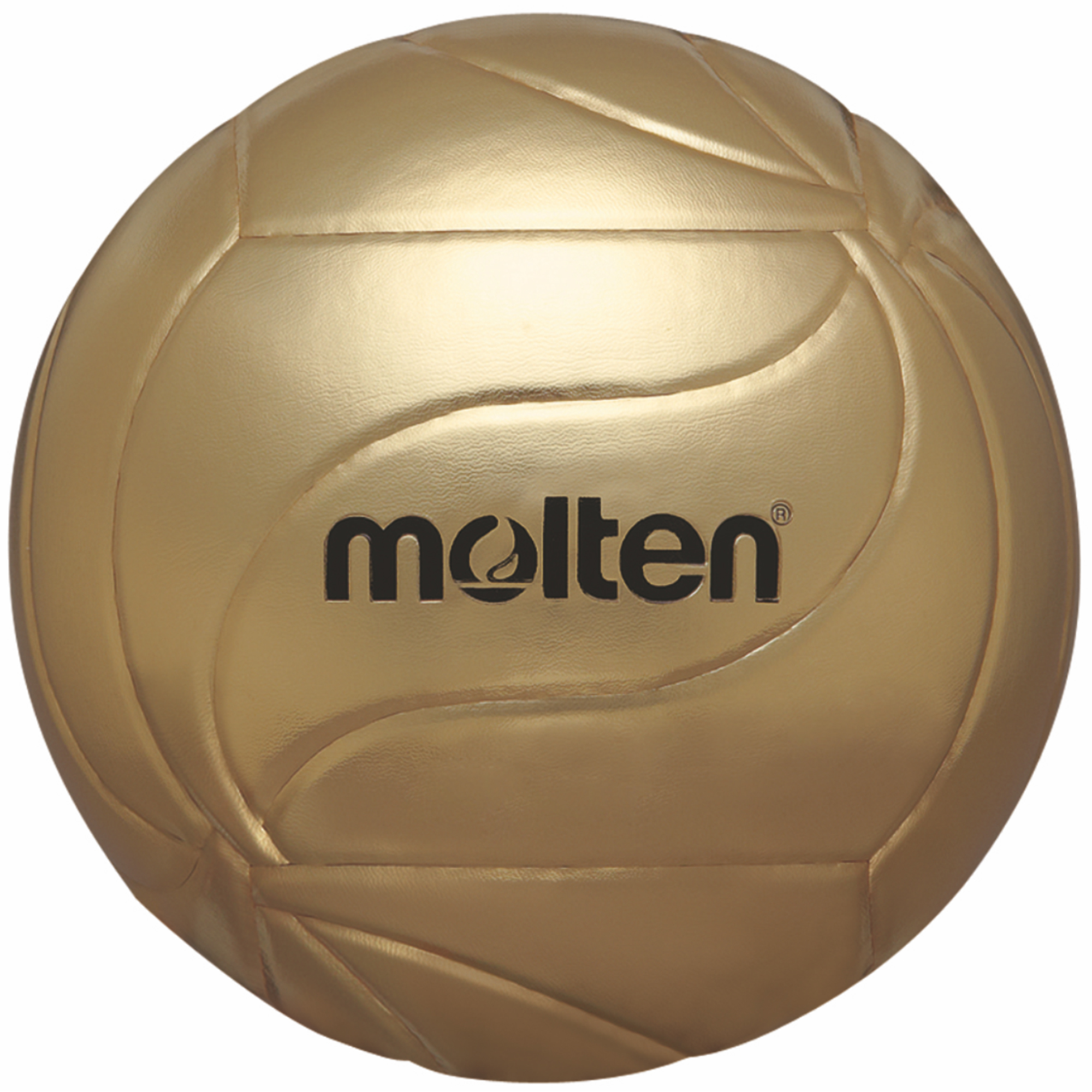 Molten Volleyball Fan- und Unterschriftenball V5M9500