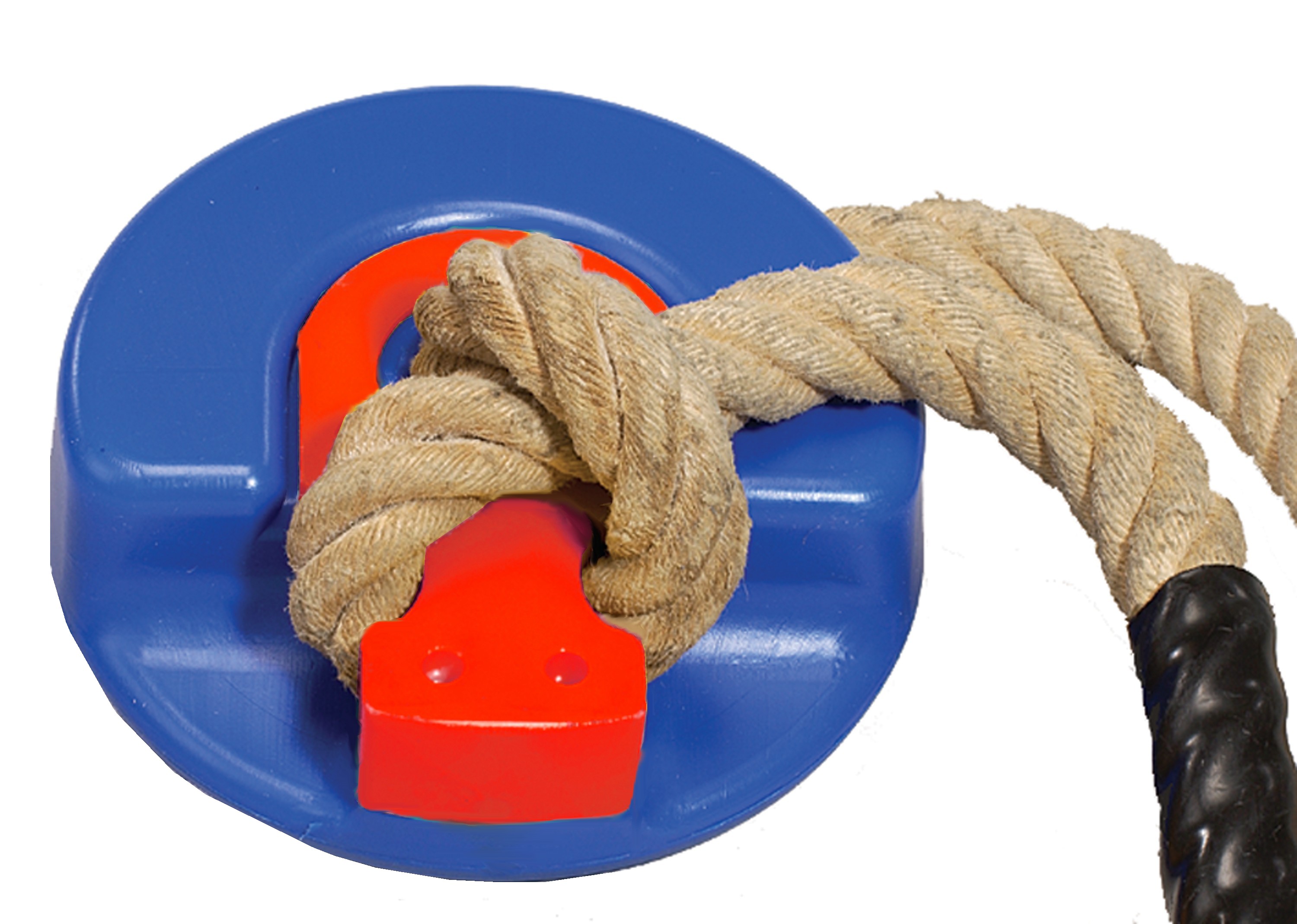 Tauteller -Swing Top- - Bild 3 - Vergrößern