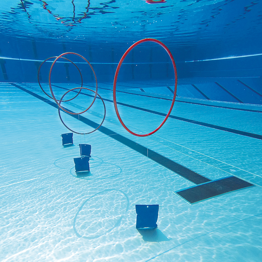 Tauchspiel-Flipper_126173