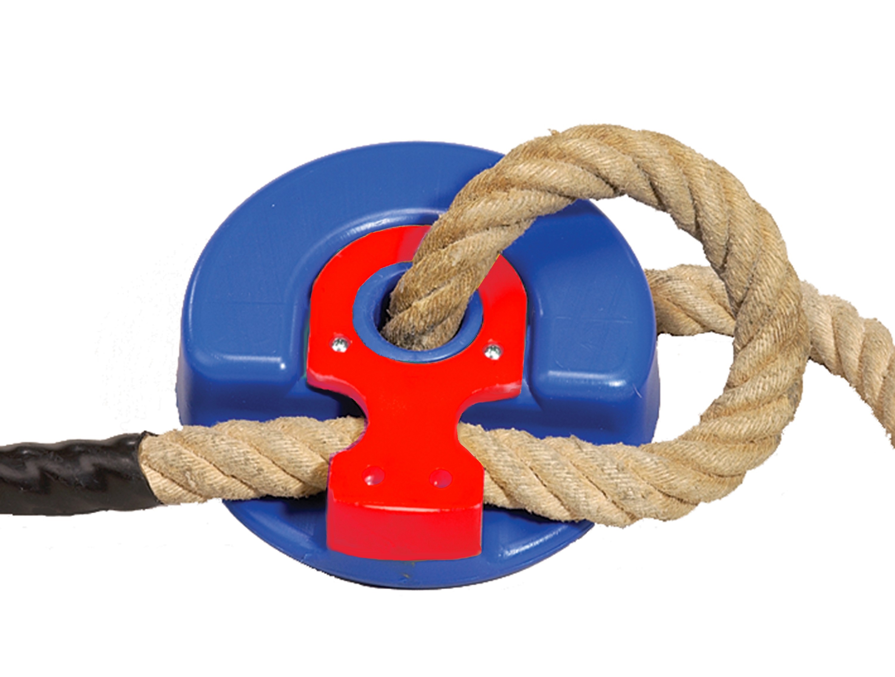 Tauteller -Swing Top- - Bild 2 - Vergrößern