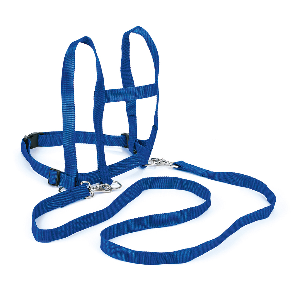 Pferdeleine Nylon